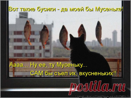 kotomatritsa_WY.jpg (Изображение JPEG, 750 × 564 пикселов)