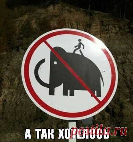 приколы