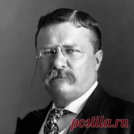 Теодор Рузвельт - 26-й президент США | Город Фактов