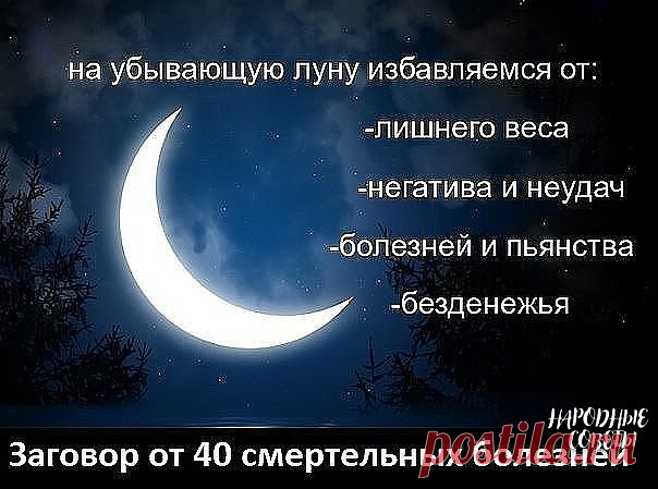 (1) Одноклассники