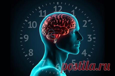 Как работают биологические часы...
Почему у вас может быть плохое самочувствие в определенное время суток