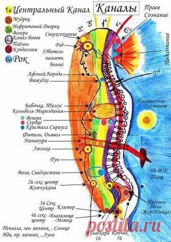 (25) Pinterest