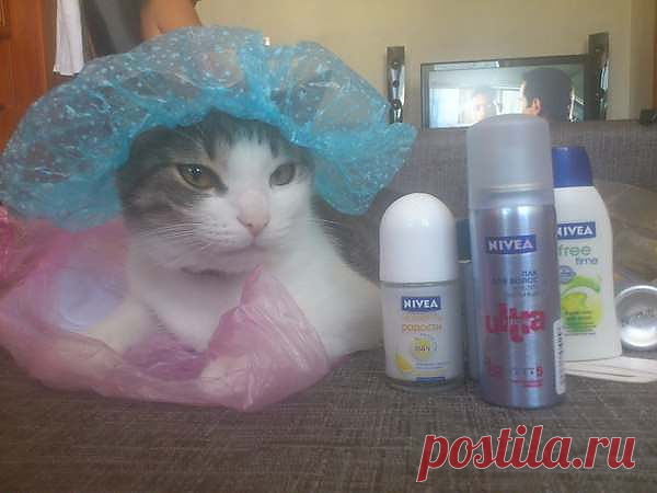 Я - готова.