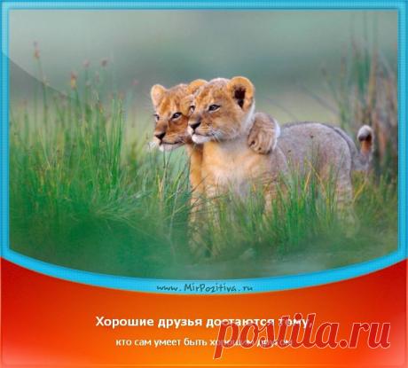 Позитивчики Недели (смотреть фото)