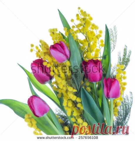 Bouquet Pink Tulip Flowers Yellow Daffodils Imagen De Archivo (stock) 239224375 - Shutterstock