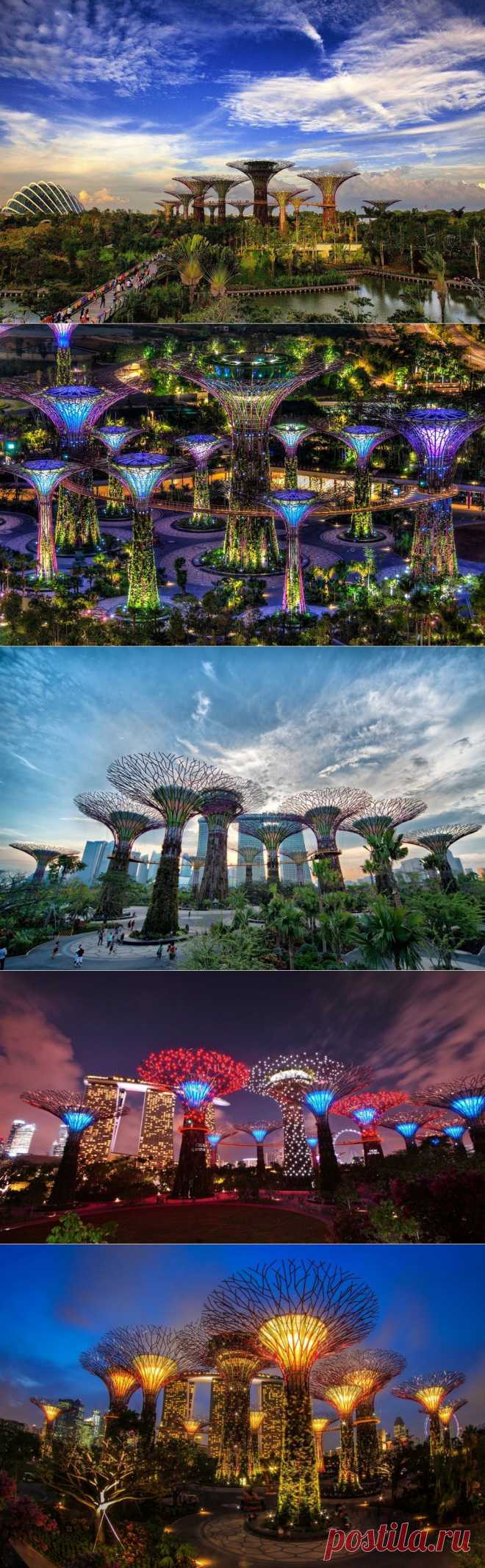 Футуристические сады Сингапура