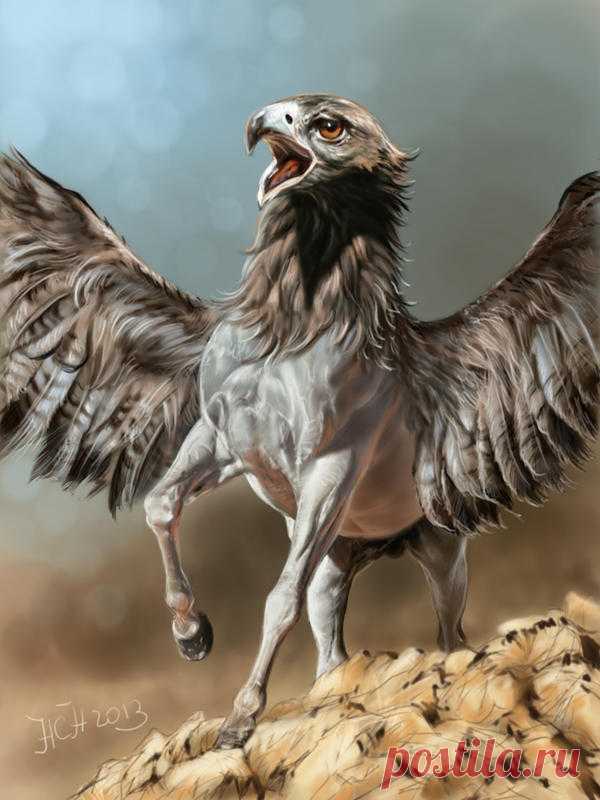 the Hippogryph by Animal75Artist on DeviantArt