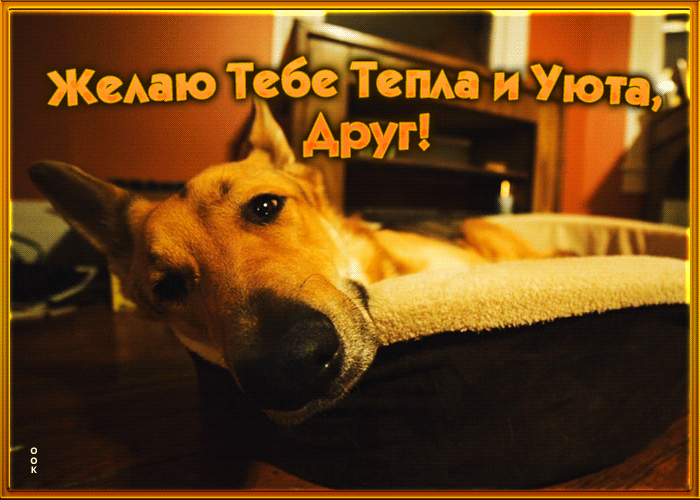 Открытка другу с пожеланиями