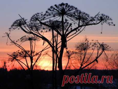 Рассветы, закаты...