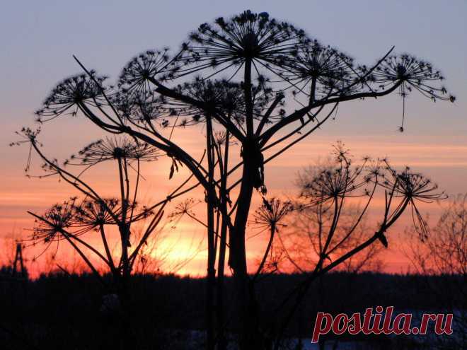 Рассветы, закаты...