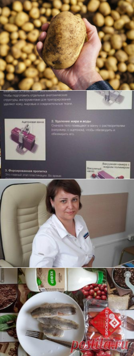 Шесть причин, почему картофель полезен и его стоит начать есть
Скромная и всем известная картошка, в последнее время получила плохую репутацию. То, что когда-то было дешевым и по сути основным продуктом питания многих стран, в последние годы было заклеймено как “нездоровая” пища, которой лучше всего избегать. Употребление слишком большого количества любого типа или группы продуктов (например,...
Читай дальше на сайте. Жми подробнее ➡