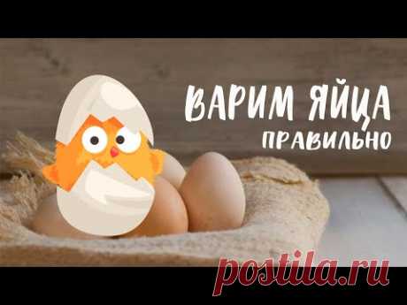 Варите яйца правильно. Рецепт коктейля в подарок.
