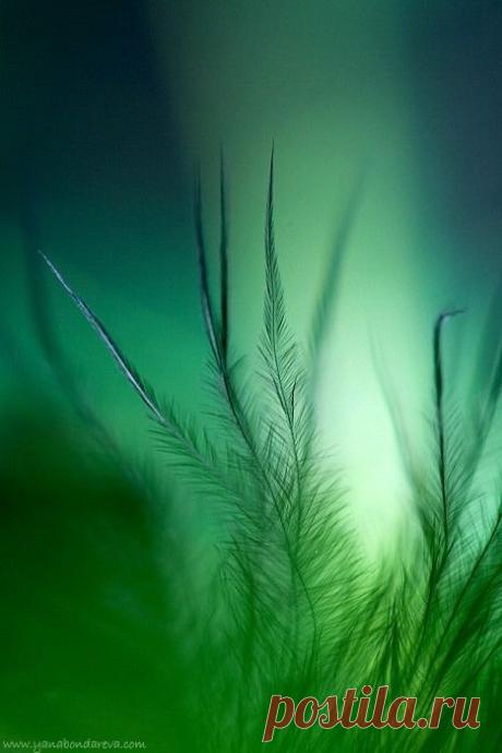 (458) Pinterest