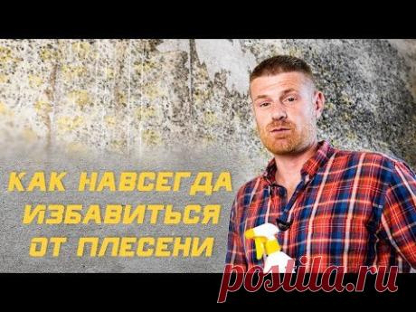 Как избавится от Плесени, Грибка и Мха НАВСЕГДА