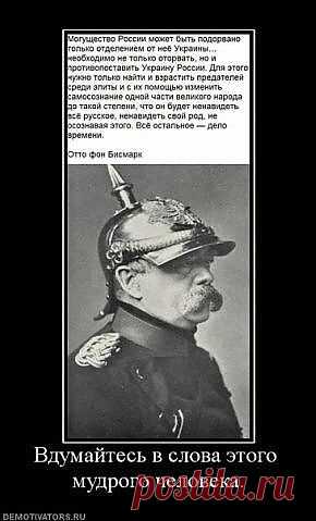 (43) Одноклассники