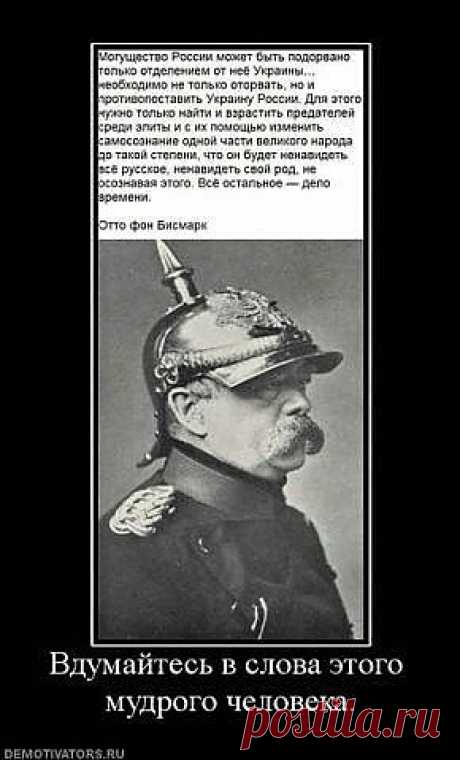 (43) Одноклассники