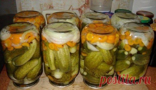 МАРИНОВАННЫЕ ОГУРЧИКИ БЕЗ СТЕРИЛИЗАЦИИ