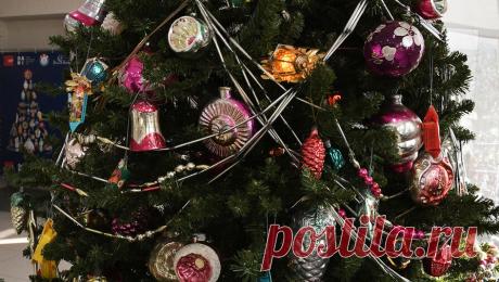 Экологи объяснили вред искусственных елок и призвали покупать настоящие. Чтобы не навредить природе, при украшении дома к Новому году лучше отдавать предпочтение естественным елкам, убежден эксперт ОНФ, член Научного Совета РЭО, член Совета МГО Российского экологического движения Илья Рыбальченко. Такие елки ...