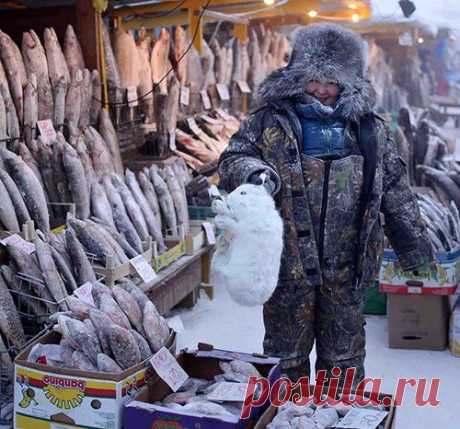 Оймякон, самое холодное поселение на земле