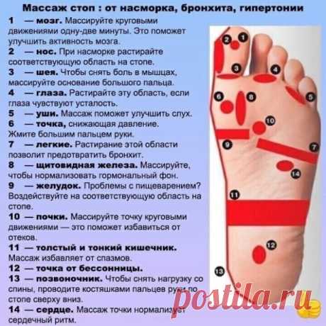 МАССАЖ СТОП ОТ НАСМОРКА БРОНХИТА ГИПЕРТОНИИ