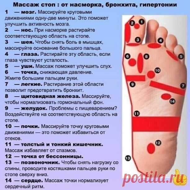 МАССАЖ СТОП ОТ НАСМОРКА БРОНХИТА ГИПЕРТОНИИ