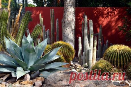 #braziliangarden