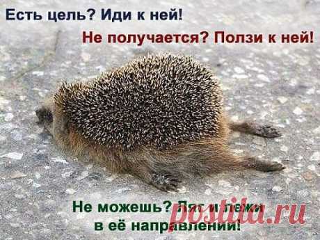 цель