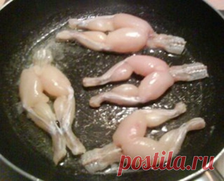 Самые неприглядные блюда для французов в русской кухне и наоборот