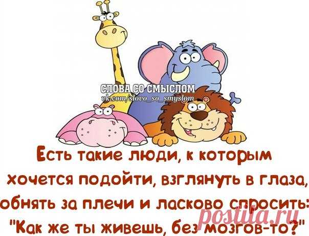 Прикольные фразочки в картинках