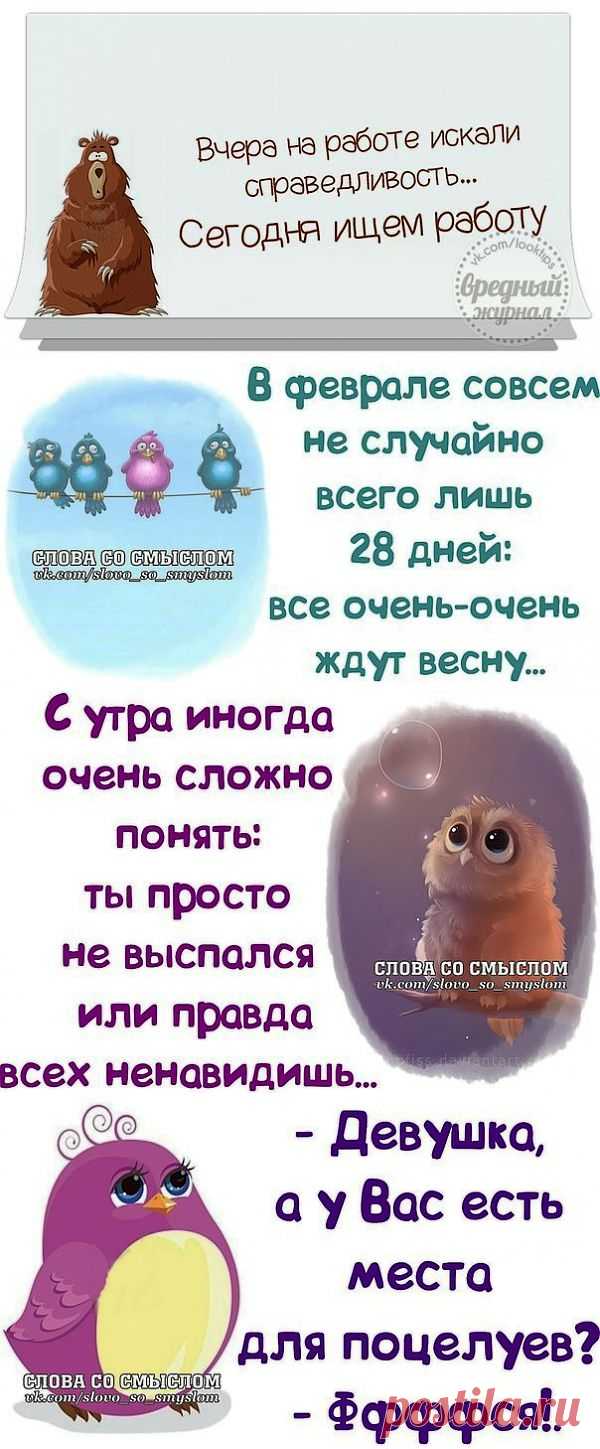Прикольные фразочки в картинках.