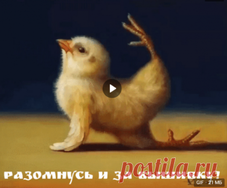 Новости