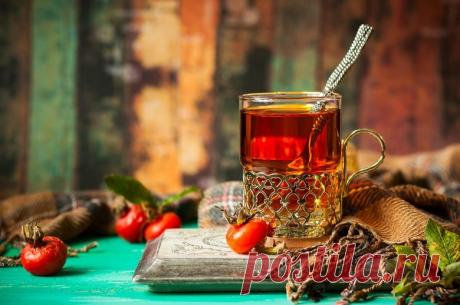 Народное лечение осенними травами | Высоцкая Life