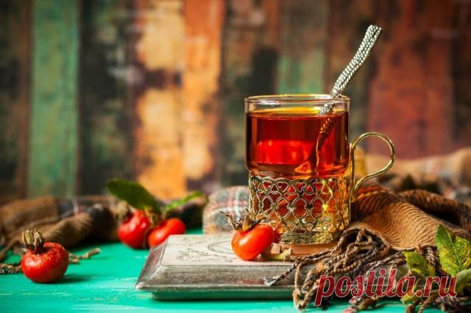 Народное лечение осенними травами | Высоцкая Life