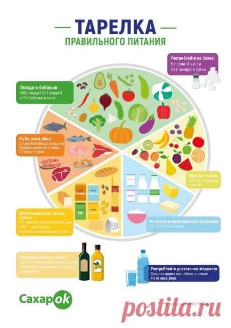 Тарелка правильного питания