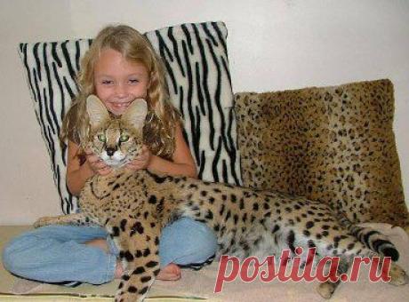 ☑ Зацепило? Добавляйся !☚(ړײ)✌. Добавлены 9 фотографий