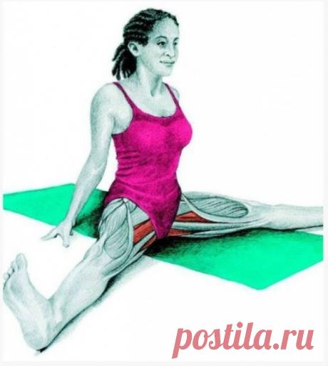 (3) Одноклассники