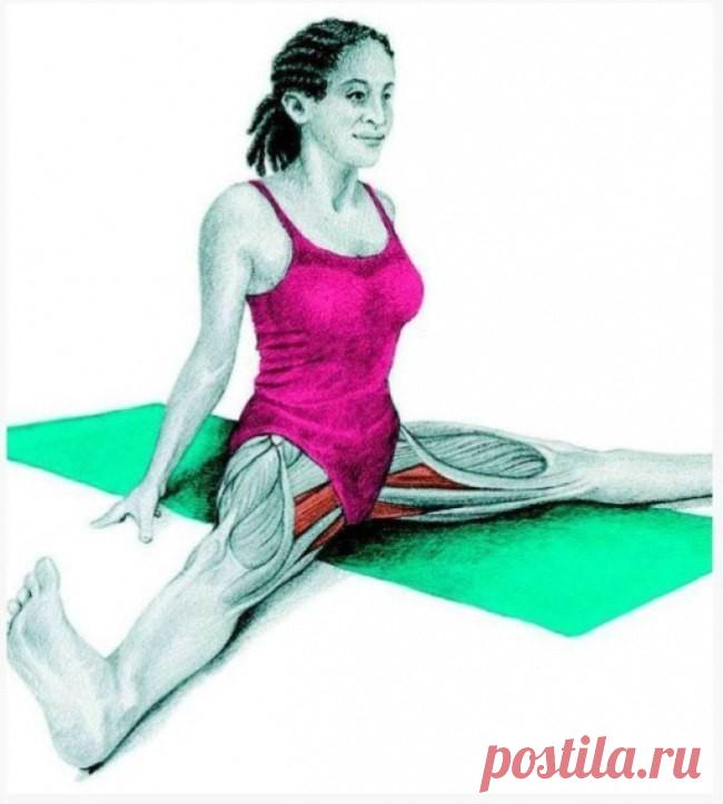 (3) Одноклассники