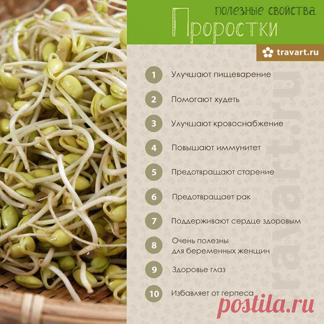 Проростки- полезные свойства