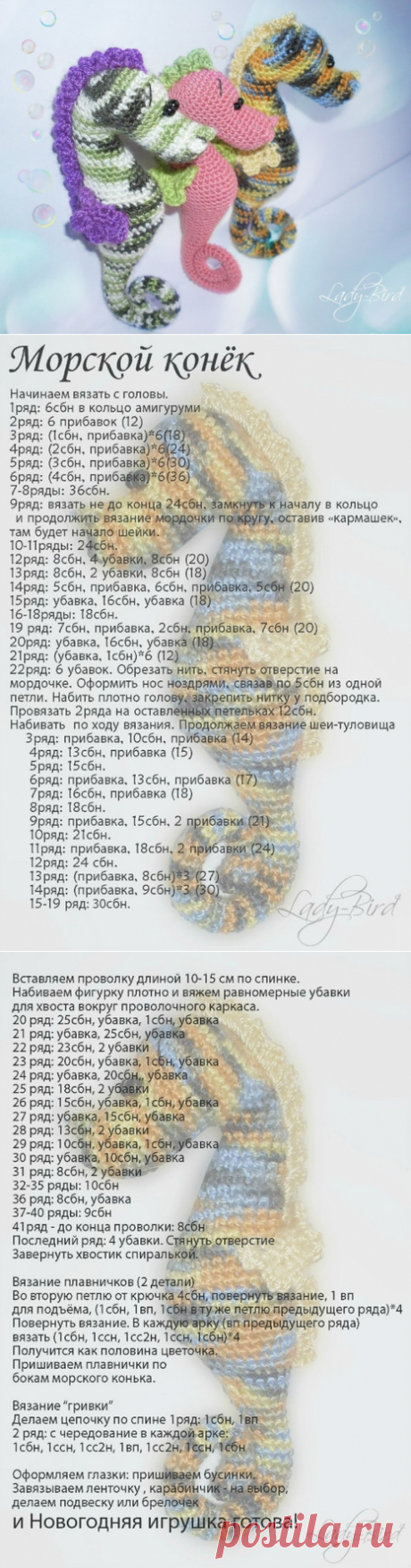 Морской конек