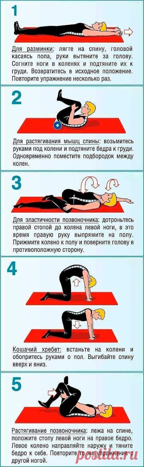 РАСТЯГИВАЕМ ПОЗВОНОЧНИК