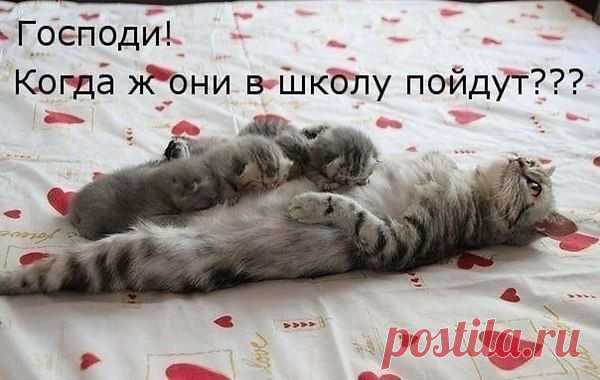 Интересные новости