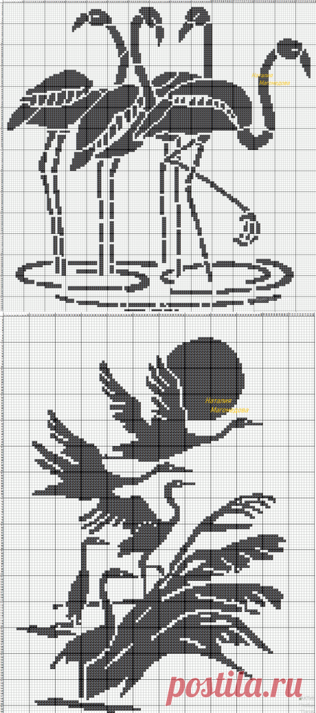 Филейное птичье царство.