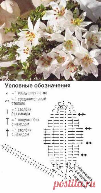 Вязаные цветы. Как связать лилию крючом. Лилия на салфетках, в букете, на воротничке и тунике | NataliyaK | Яндекс Дзен