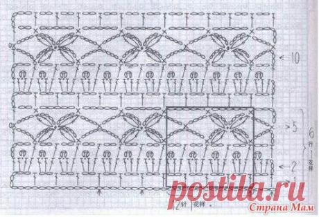 8154576_12244.jpg (493×336)