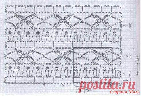 8154576_12244.jpg (493×336)