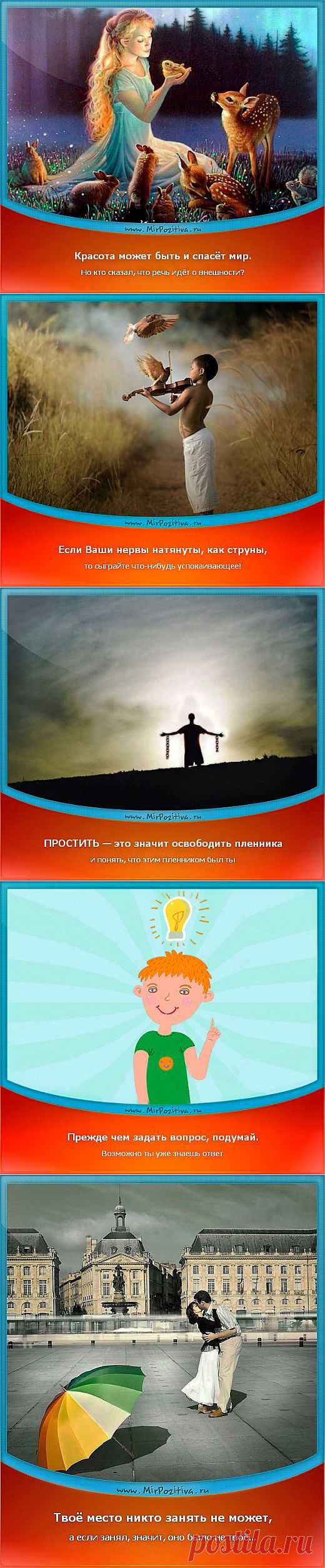 Позитивчики Недели (смотреть фото)