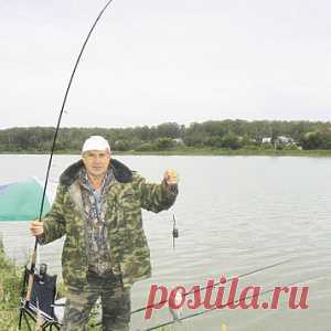 Как поймать карася на фидер - МирТесен