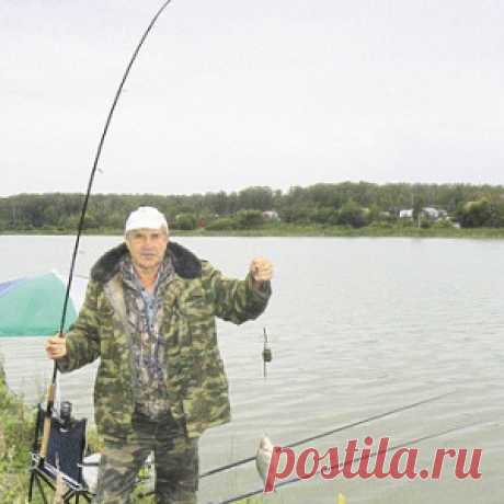 Как поймать карася на фидер - МирТесен