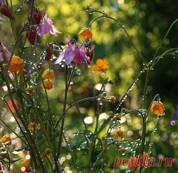 Доброго утра и прекрасного настроения🌺