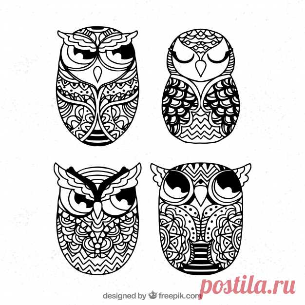 Набор этнических сов Более миллиона свободных векторов, PSD, фотографии и бесплатные иконки. Эксклюзивные халявы и все графические ресурсы, которые необходимые для ваших проектов